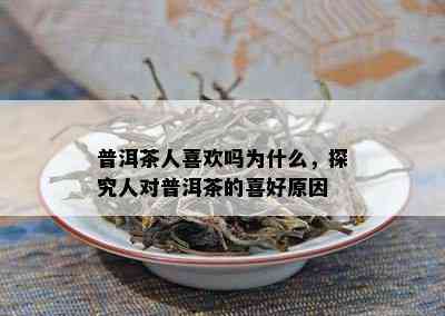 普洱茶人喜欢吗为什么，探究人对普洱茶的喜好起因