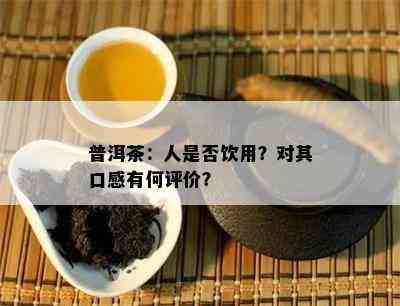 普洱茶：人是不是饮用？对其口感有何评价？