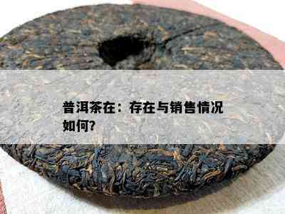 普洱茶在：存在与销售情况怎样？