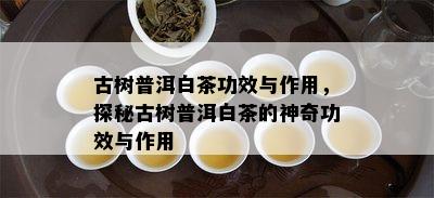 古树普洱白茶功效与作用，探秘古树普洱白茶的神奇功效与作用