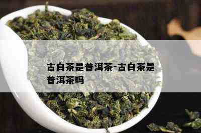 古白茶是普洱茶-古白茶是普洱茶吗