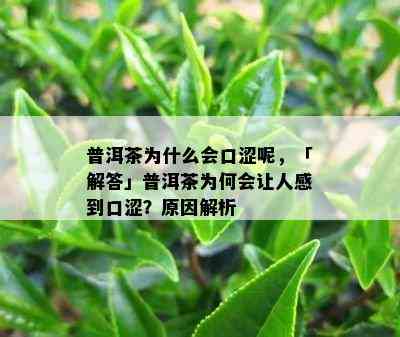 普洱茶为什么会口涩呢，「解答」普洱茶为何会让人感到口涩？原因解析