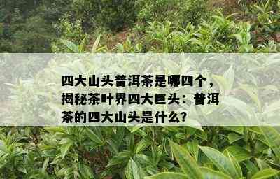 四大山头普洱茶是哪四个，揭秘茶叶界四大巨头：普洱茶的四大山头是什么？