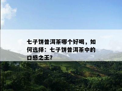 七子饼普洱茶哪个好喝，如何选择：七子饼普洱茶中的口感之王？