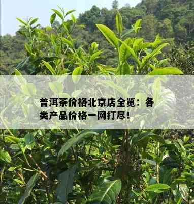 普洱茶价格北京店全览：各类产品价格一网打尽！