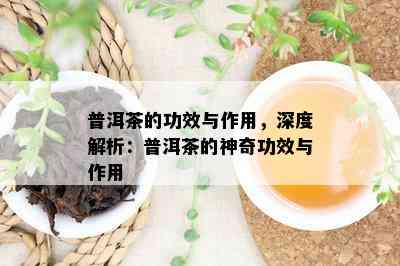 普洱茶的功效与作用，深度解析：普洱茶的神奇功效与作用