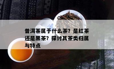 普洱茶属于什么茶？是红茶还是黑茶？探讨其茶类归属与特点