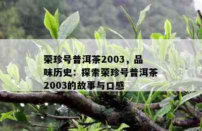 荣珍号普洱茶2003，品味历史：探索荣珍号普洱茶2003的故事与口感