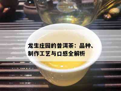 龙生庄园的普洱茶：品种、制作工艺与口感全解析