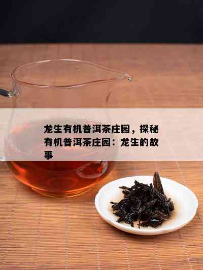 龙生有机普洱茶庄园，探秘有机普洱茶庄园：龙生的故事