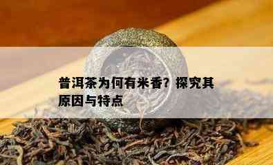 普洱茶为何有米香？探究其起因与特点