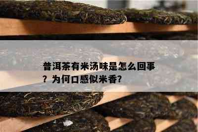 普洱茶有米汤味是怎么回事？为何口感似米香？