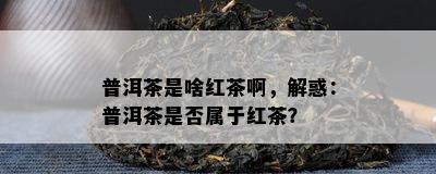 普洱茶是啥红茶啊，解惑：普洱茶是不是属于红茶？