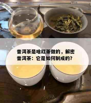 普洱茶是啥红茶做的，解密普洱茶：它是如何制成的？