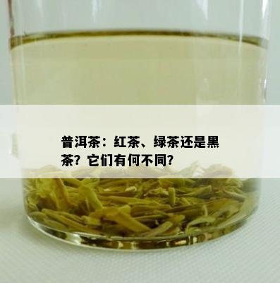 普洱茶：红茶、绿茶还是黑茶？它们有何不同？