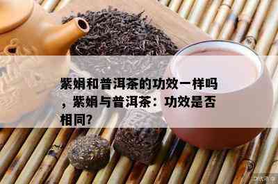 紫娟和普洱茶的功效一样吗，紫娟与普洱茶：功效是不是相同？