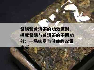 紫娟和普洱茶的功效区别，探究紫娟与普洱茶的不同功效：一场味觉与健康的双重享受