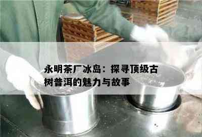 永明茶厂冰岛：探寻顶级古树普洱的魅力与故事