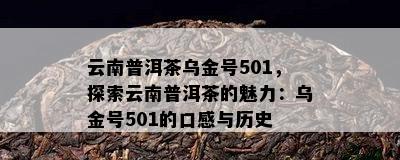 云南普洱茶乌金号501，探索云南普洱茶的魅力：乌金号501的口感与历史