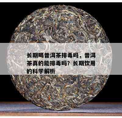 长期喝普洱茶排吗，普洱茶真的能排吗？长期饮用的科学解析