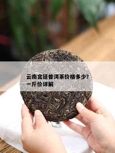 云南宫廷普洱茶价格多少？一斤价详解