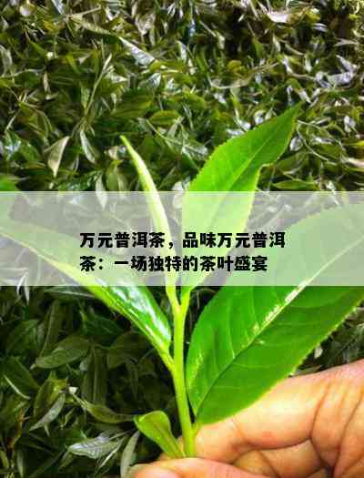 万元普洱茶，品味万元普洱茶：一场特别的茶叶盛宴