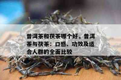 普洱茶和茯茶哪个好，普洱茶与茯茶：口感、功效及适合人群的全面比较