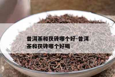 普洱茶和茯砖哪个好-普洱茶和茯砖哪个好喝