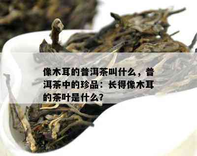 像木耳的普洱茶叫什么，普洱茶中的珍品：长得像木耳的茶叶是什么？