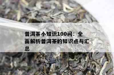 普洱茶小知识100问：全面解析普洱茶的知识点与汇总