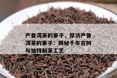 产普洱茶的寨子，探访产普洱茶的寨子：揭秘千年古树与独特制茶工艺