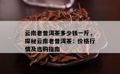 云南老普洱茶多少钱一斤，探秘云南老普洱茶：价格行情及选购指南