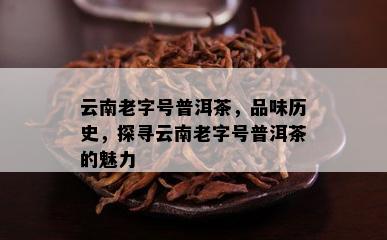 云南老字号普洱茶，品味历史，探寻云南老字号普洱茶的魅力