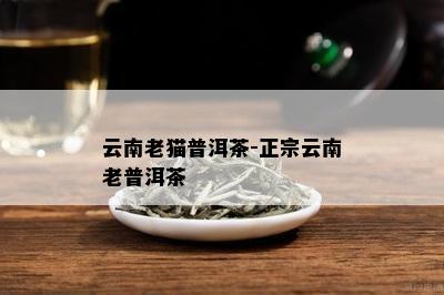 云南老猫普洱茶-正宗云南老普洱茶