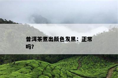 普洱茶煮出颜色发黑：正常吗？