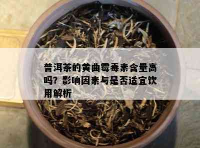 普洱茶的黄曲霉素含量高吗？作用因素与是不是适宜饮用解析