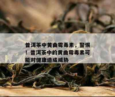 普洱茶中黄曲霉素，警惕！普洱茶中的黄曲霉素可能对健康造成威胁