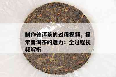 制作普洱茶的过程视频，探索普洱茶的魅力：全过程视频解析