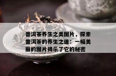 普洱茶养生之美图片，探索普洱茶的养生之道：一幅美丽的图片揭示了它的秘密