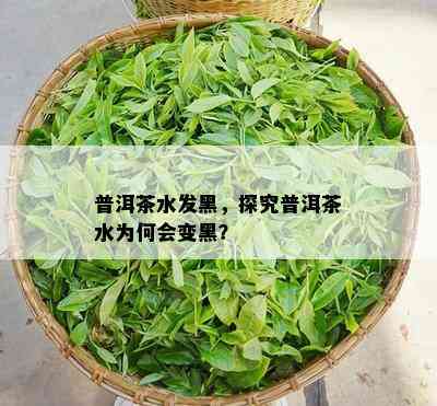 普洱茶水发黑，探究普洱茶水为何会变黑？