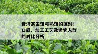 普洱茶生饼与熟饼的区别：口感、加工工艺及适宜人群的对比分析