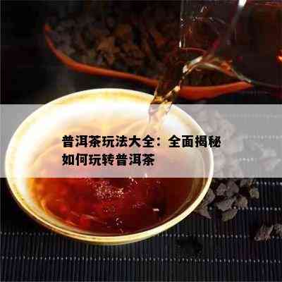 普洱茶玩法大全：全面揭秘如何玩转普洱茶