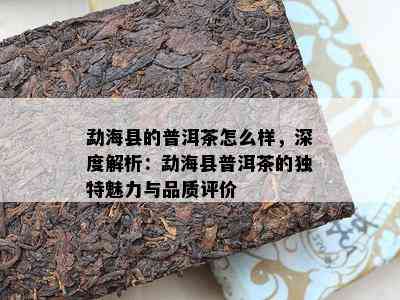 勐海县的普洱茶怎么样，深度解析：勐海县普洱茶的独特魅力与品质评价