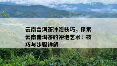 云南普洱茶冲泡技巧，探索云南普洱茶的冲泡艺术：技巧与步骤详解