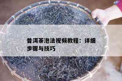 普洱茶泡法视频教程：详细步骤与技巧