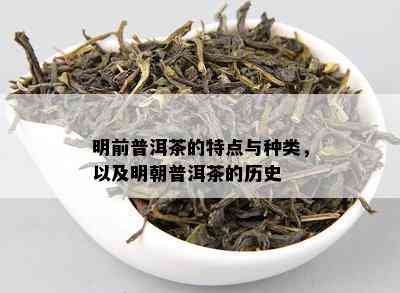 明前普洱茶的特点与种类，以及明朝普洱茶的历史