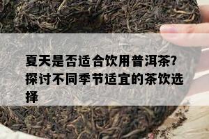 夏天是不是适合饮用普洱茶？探讨不同季节适宜的茶饮选择