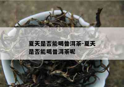 夏天是不是能喝普洱茶-夏天是不是能喝普洱茶呢