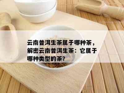 云南普洱生茶属于哪种茶，解密云南普洱生茶：它属于哪种类型的茶？