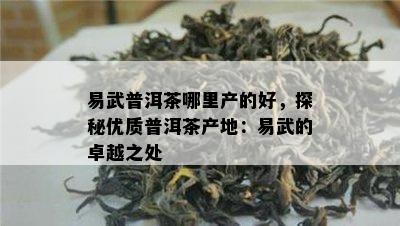 易武普洱茶哪里产的好，探秘优质普洱茶产地：易武的卓越之处